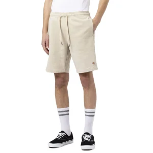 Pantalones Cortos Chandal Dickies Champlin Cement