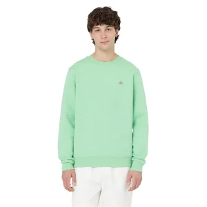 Sudadera Dickies Oakport Crew Apple Mint